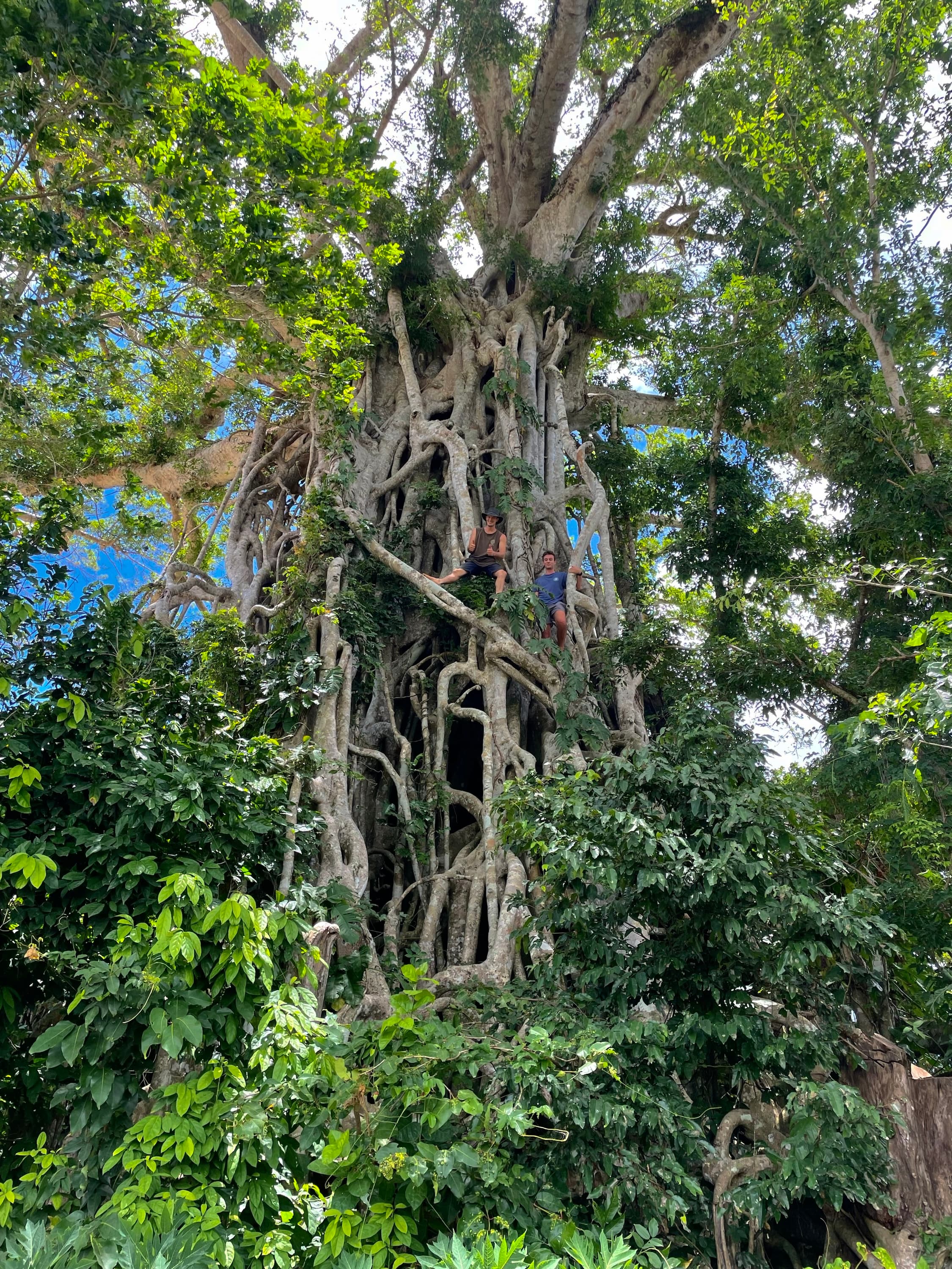 Vanuatu 2024 🇻🇺